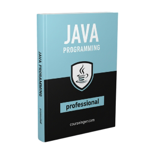 A Professional Java Book