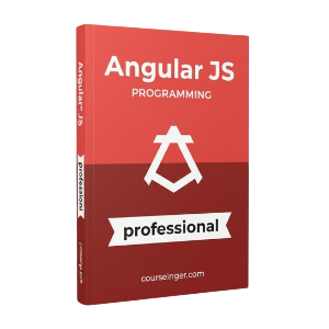 A Professional Angular JS Book
